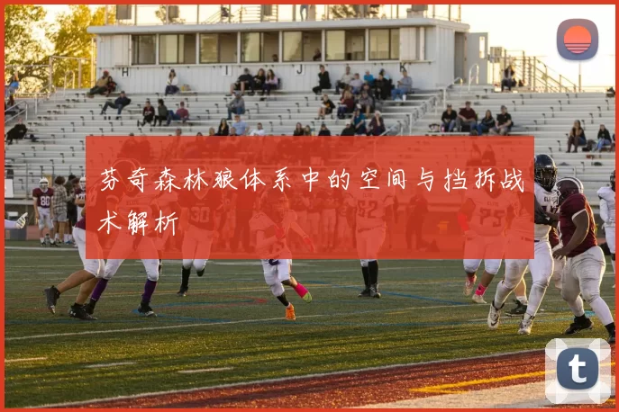 芬奇森林狼体系中的空间与挡拆战术解析